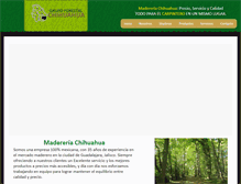 Tablet Screenshot of madereriachihuahua.com